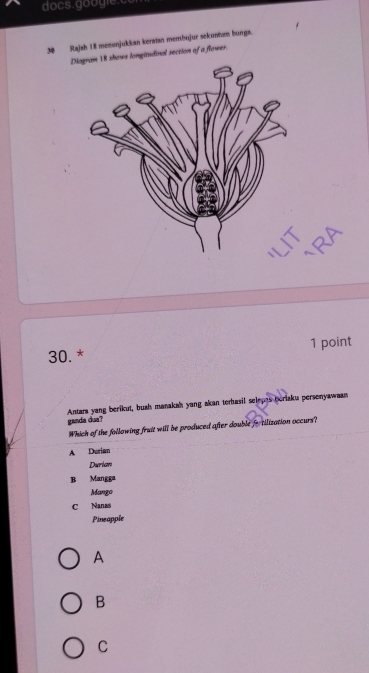 docs.googie.c
30 Rajah 18 menunjukkan keratan membujur sekuntum bunga.
Dshows longitudinal section of a flower.
30. * 1 point
Antara yang berikut, bush manakah yang akan terhasil selepes beriaku personyawaan
ganda dua?
Which of the following fruit will be produced after double fotilization occurs?
A Durian
Durian
B Mangga
Mango
C Nanas
Pineapple
A
B
C