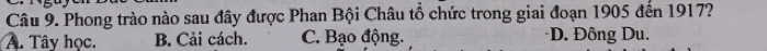 Phong trào nào sau đây được Phan Bội Châu tổ chức trong giai đoạn 1905 đến 1917?
A. Tây học. B. Cải cách. C. Bạo động. D. Đông Du.