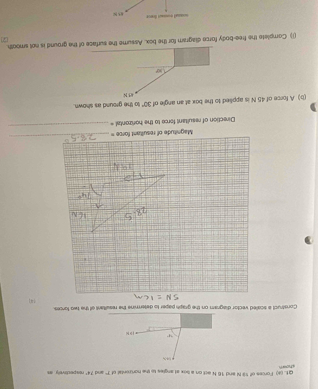 Forces of 19 N and 16 N act on a box at angles to the horizontal of 7° and 74° respectively as
shown.
Construct a scaled vector diagram on the graph paper to determine the resultant of the two forces.
4
_
_
Magnitude of resultant force =
Direction of resultant force to the horizontal =
(b) A force of 45 N is applied to the box at an angle of 30° to the ground as shown.
45 N
30°
(i) Complete the free-body force diagram for the box. Assume the surface of the ground is not smooth.
(2)
sormal conact force 45 N