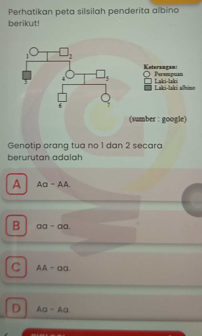 Perhatikan peta silsilah penderita albino
berikut!
Genotip orang tua no 1 dan 2 secara
berurutan adalah
A Aa-AA.
B aa-aa.
C AA-aa.
D Aa-Aa.