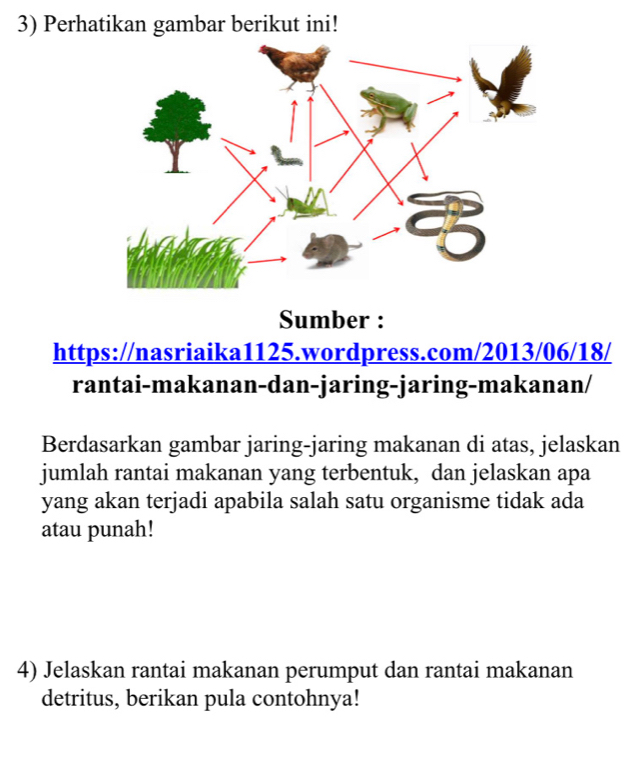 Perhatikan gambar berikut ini! 
Sumber : 
https://nasriaika1125.wordpress.com/2013/06/18/ 
rantai-makanan-dan-jaring-jaring-makanan/ 
Berdasarkan gambar jaring-jaring makanan di atas, jelaskan 
jumlah rantai makanan yang terbentuk, dan jelaskan apa 
yang akan terjadi apabila salah satu organisme tidak ada 
atau punah! 
4) Jelaskan rantai makanan perumput dan rantai makanan 
detritus, berikan pula contohnya!