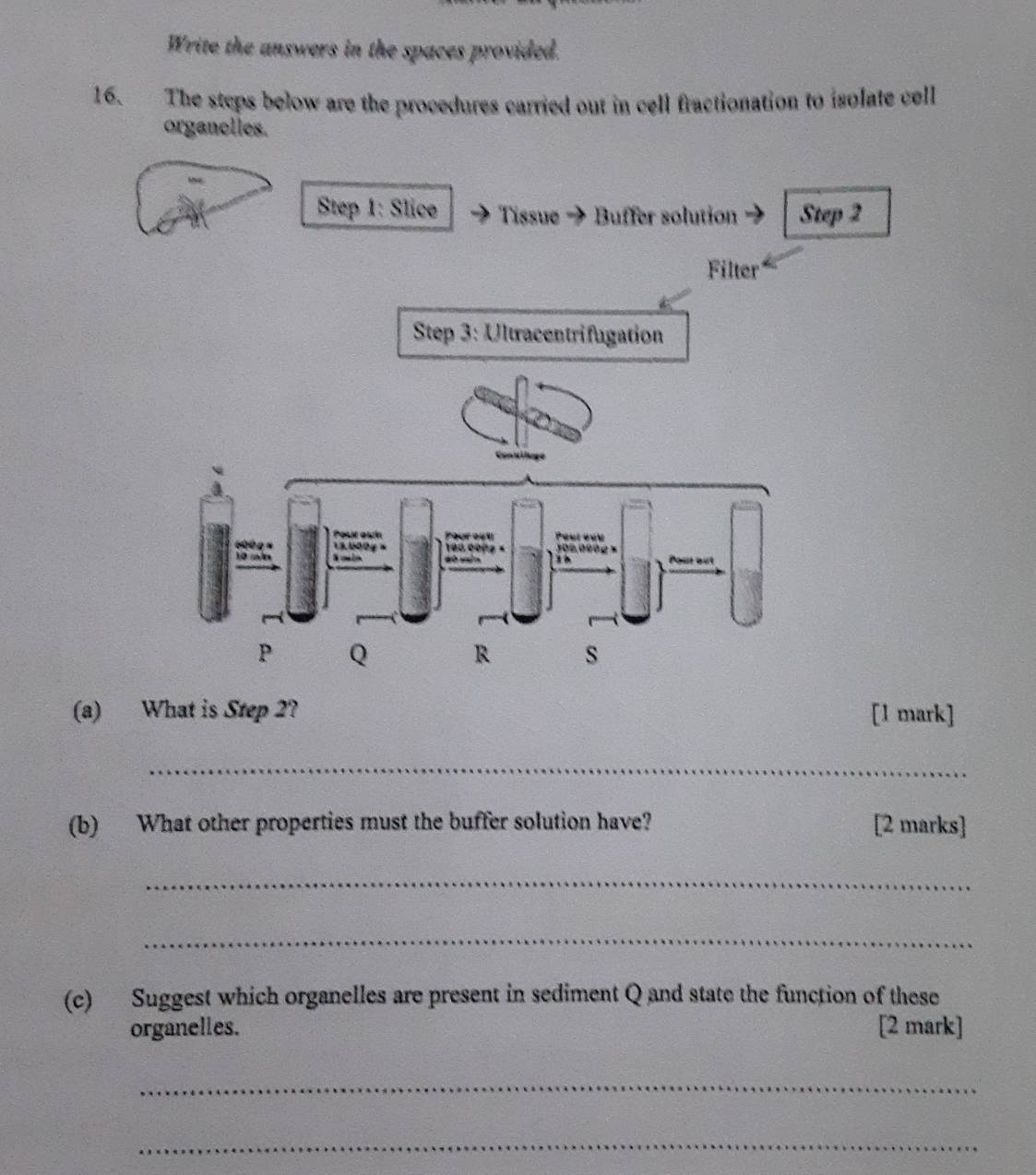 Write the answers in the spaces provided. 
16. The steps below are the procedures carried out in cell fractionation to isolate cell 
organelles. 
Step 1 : Slice Tissue - Buffer solution Step 2
Filter 
Step 3 : Ultracentrifugation 
(a) What is Step 2? [1 mark] 
_ 
(b) What other properties must the buffer solution have? [2 marks] 
_ 
_ 
(c) Suggest which organelles are present in sediment Q and state the function of these 
organelles. [2 mark] 
_ 
_