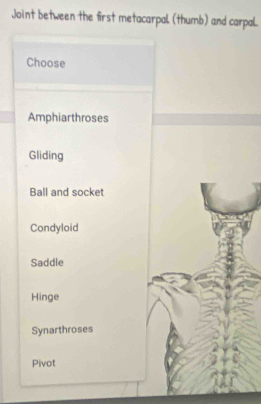 Joint between the first metacarpal (thumb) and carpal.
Choose
Amphiarthroses
Gliding
Ball and socket
Condyloid
Saddle
Hinge
Synarthroses
Pivot