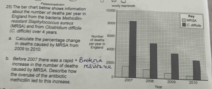 Palaeomastodon 
25) The bar chart below shows information wooily mammoth 
about the number of deaths per year in 
England from the bacteria Methicillin- 
resistant Staphylococcus aureus 
(MRSA) and from Clostridium difficile 
(C. difficile) over 4 years. 
Numb 
a. Calculate the percentage change of deat 
in deaths caused by MRSA from per yea 
2009 to 2010. Englan 
b. Before 2007 there was a rapid 
increase in the number of deaths 
caused by MRSA. Describe how 
the overuse of the antibiotic 
methicillin led to this increase.
Year