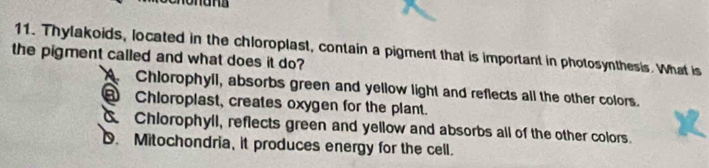 Thylakoids, located in the chloroplast, contain a pigment that is important in photosynthesis. What is
the pigment called and what does it do?
Chlorophyll, absorbs green and yellow light and reflects all the other colors.
Chloroplast, creates oxygen for the plant.
Chlorophyll, reflects green and yellow and absorbs all of the other colors.
D. Mitochondria, it produces energy for the cell.