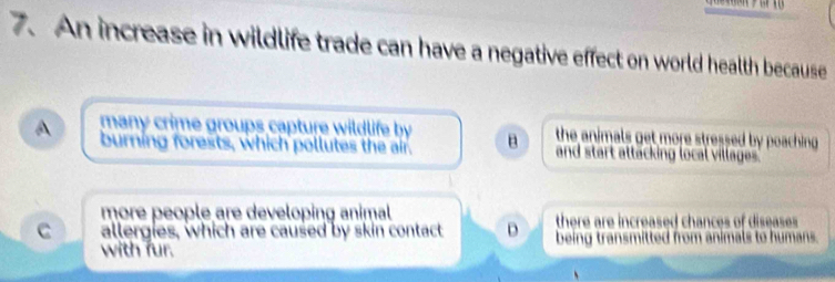 An increase in wildlife trade can have a negative effect on world health because
many crime groups capture wildlife by the animals get more stressed by poaching .
A burning forests, which pollutes the air. B and start attacking local villages.'
more people are developing animal
C allergies, which are caused by skin contact D there are increased chances of diseases 
with fur. being transmitted from animals to humans.