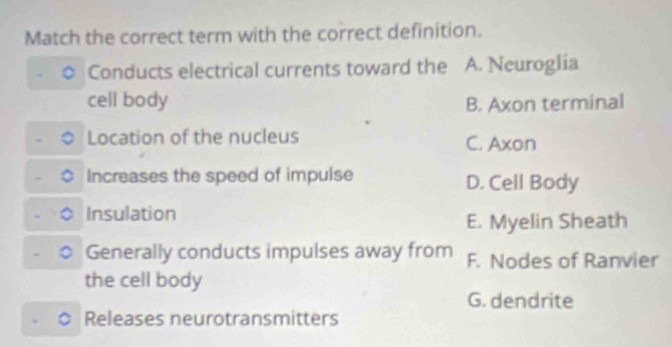 Match the correct term with the correct definition.
Conducts electrical currents toward the A. Neuroglia
cell body B. Axon terminal
Location of the nucleus C. Axon
Increases the speed of impulse D. Cell Body
Insulation
E. Myelin Sheath
Generally conducts impulses away from F. Nodes of Ranvier
the cell body
G. dendrite
Releases neurotransmitters