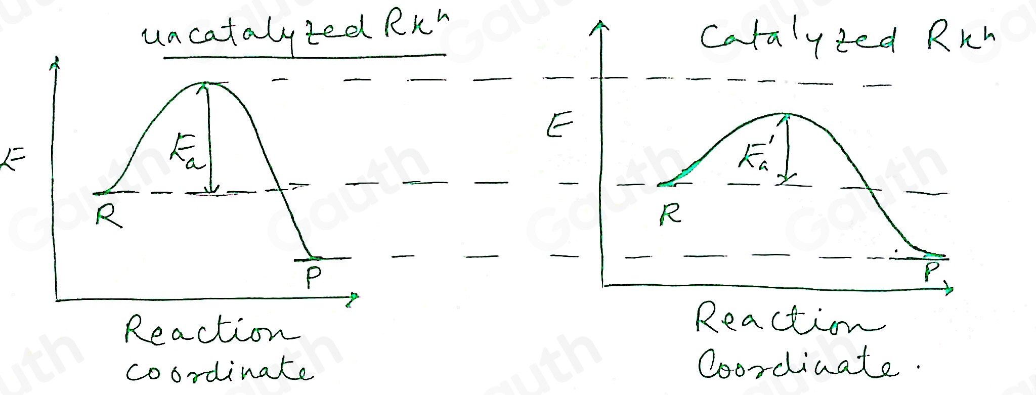 Solved: Sketch a qualitative reaction energy diagram for a chemical ...