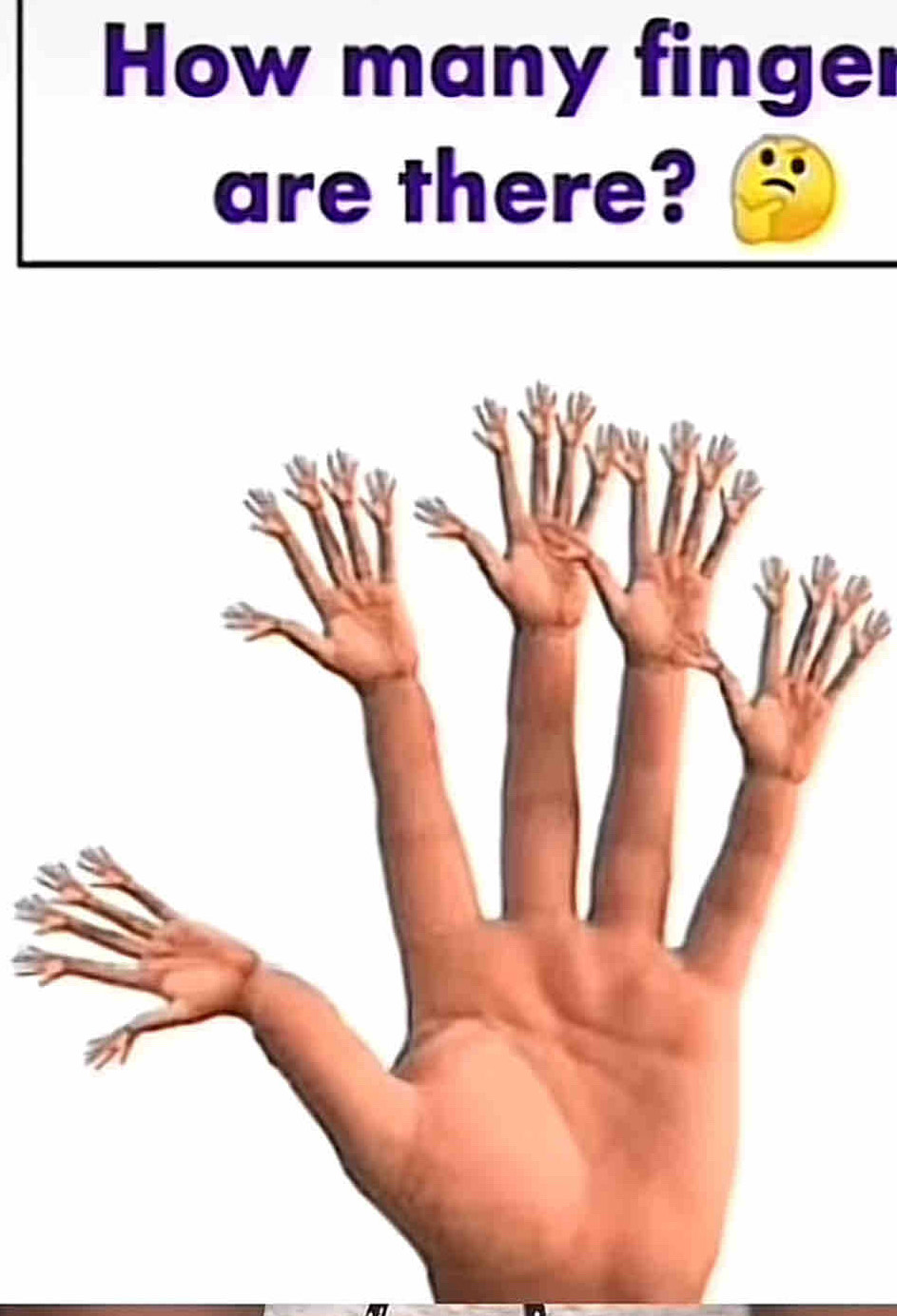 How many finger 
are there?