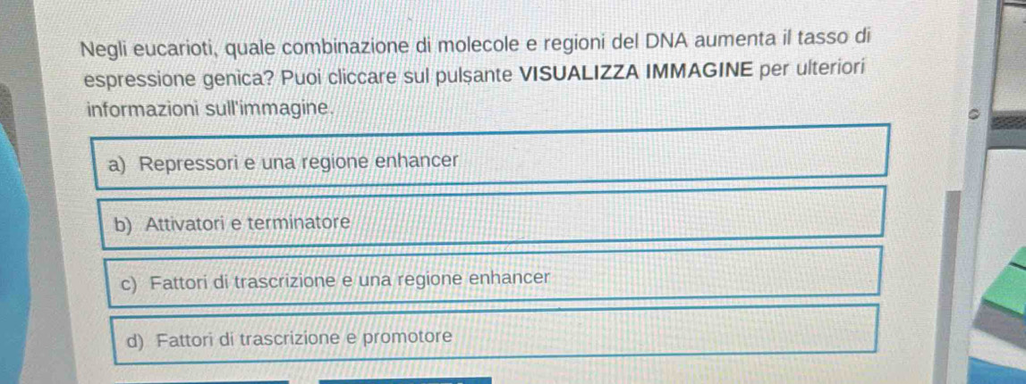 Negli eucarioti, quale combinazione di molecole e regioni del DNA aumenta il tasso di
espressione genica? Puoi cliccare sul pulsante VISUALIZZA IMMAGINE per ulteriori
informazioni sull'immagine.
a) Repressori e una regione enhancer
b) Attivatori e terminatore
c) Fattori di trascrizione e una regione enhancer
d) Fattori di trascrizione e promotore