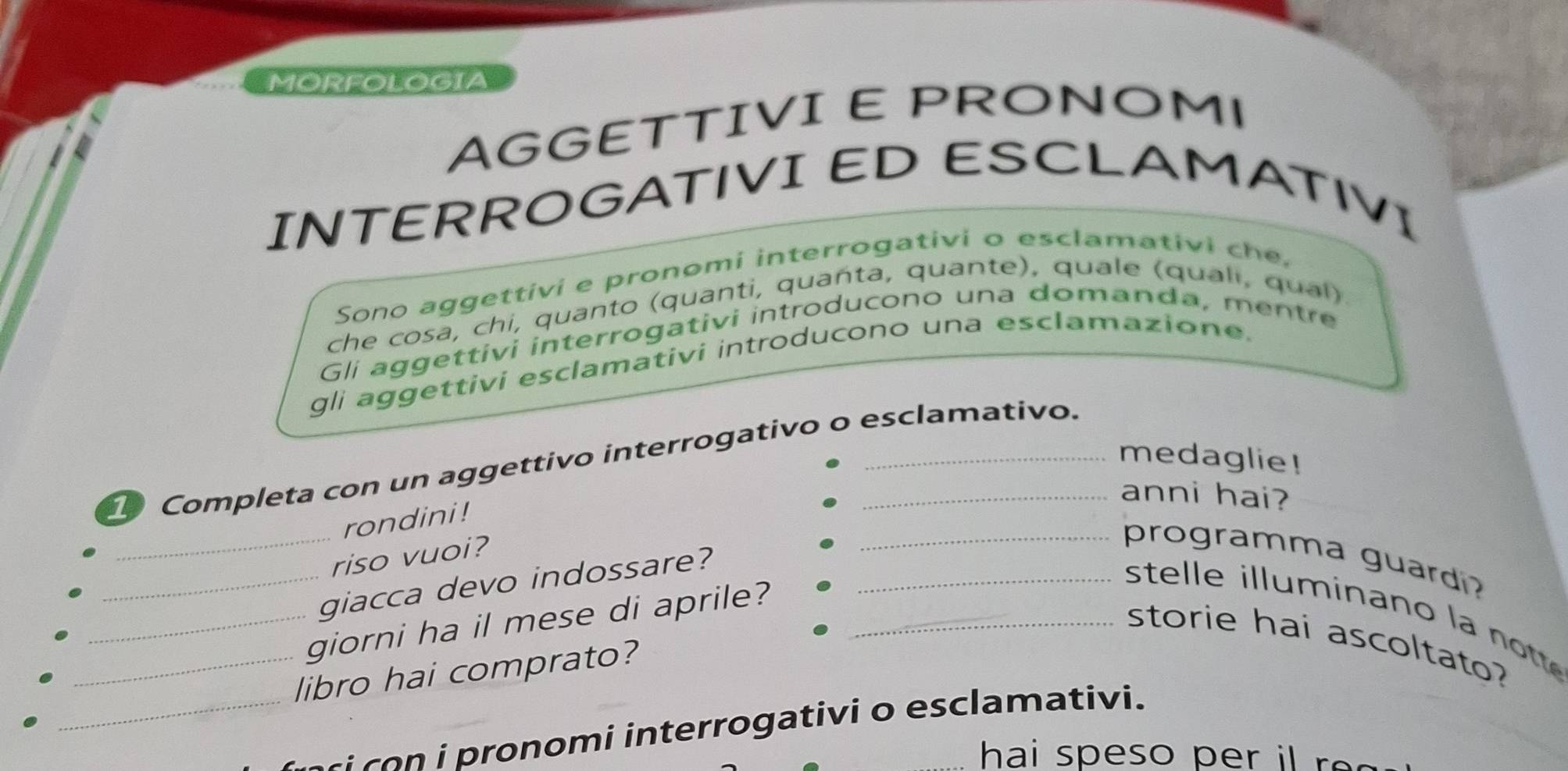 Risolto:MORFOLOGIA AGGETTIVI E PRONOM। INTERROGATIVI ED ESCLAMATIVI ...