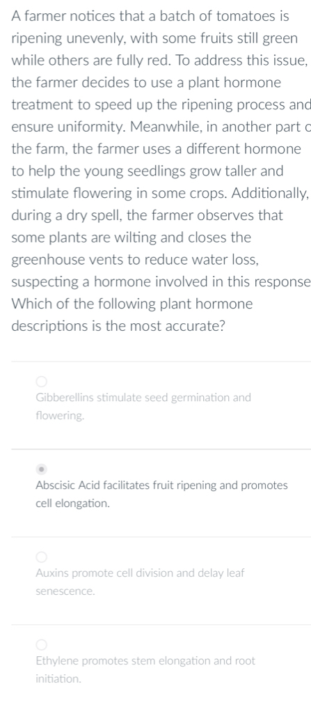 A farmer notices that a batch of tomatoes is
ripening unevenly, with some fruits still green
while others are fully red. To address this issue,
the farmer decides to use a plant hormone
treatment to speed up the ripening process and
ensure uniformity. Meanwhile, in another part c
the farm, the farmer uses a different hormone
to help the young seedlings grow taller and
stimulate flowering in some crops. Additionally,
during a dry spell, the farmer observes that
some plants are wilting and closes the
greenhouse vents to reduce water loss,
suspecting a hormone involved in this response
Which of the following plant hormone
descriptions is the most accurate?
Gibberellins stimulate seed germination and
flowering.
Abscisic Acid facilitates fruit ripening and promotes
cell elongation.
Auxins promote cell division and delay leaf
senescence.
Ethylene promotes stem elongation and root
initiation.