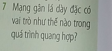 Mạng gân lá dày đặc có 
vai trò như thế nào trong 
quá trình quang hợp?