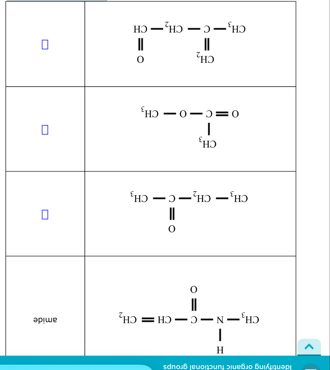 sdno₄б ¡еuοßɔunḷ ɔιиеб₄о ɓиi₄₁иəрɪ