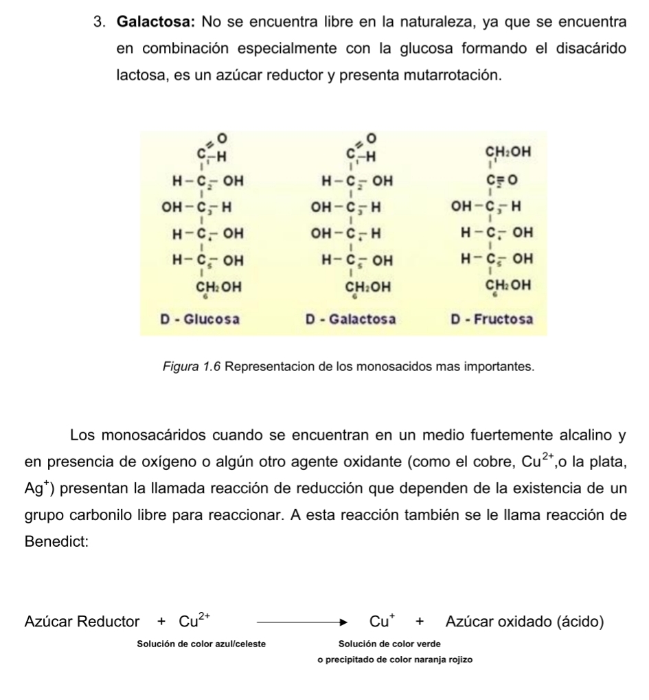 Galactosa: No se encuentra libre en la naturaleza, ya que se encuentra
en combinación especialmente con la glucosa formando el disacárido
lactosa, es un azúcar reductor y presenta mutarrotación.
Figura 1.6 Representacion de los monosacidos mas importantes.
Los monosacáridos cuando se encuentran en un medio fuertemente alcalino y
en presencia de oxígeno o algún otro agente oxidante (como el cobre, Cu^(2+) ,o la plata,
Ag^+) presentan la llamada reacción de reducción que dependen de la existencia de un
grupo carbonilo libre para reaccionar. A esta reacción también se le llama reacción de
Benedict:
Azúcar Reductor +Cu^(2+) Cu^++ Azúcar oxidado (ácido)
Solución de color azul/celeste  Solución de color verde
o precipitado de color naranja rojizo