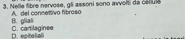 Risolto:Nelle fibre nervose, gli assoni sono avvolti da cellule A. del ...