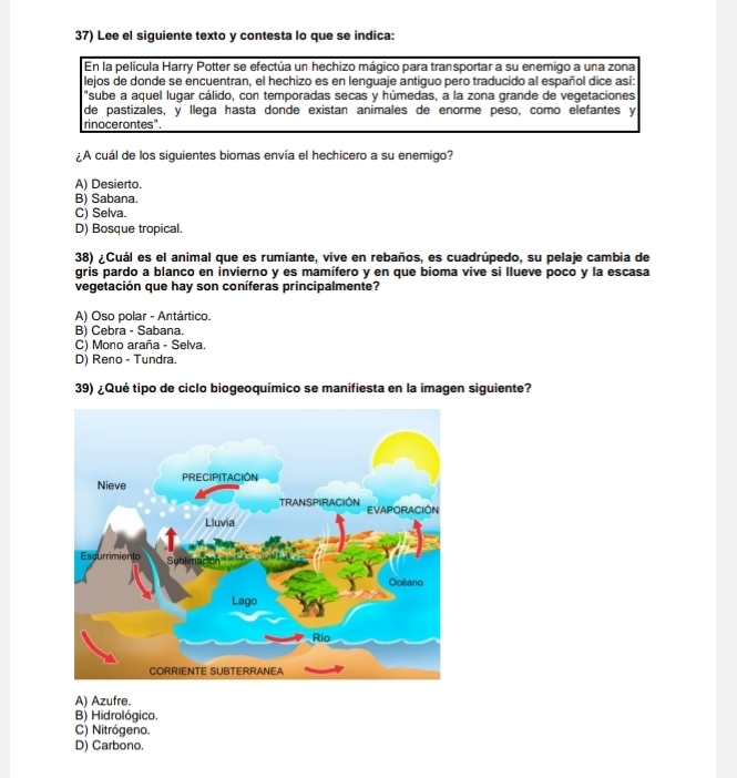 Lee el siguiente texto y contesta lo que se indica:
En la película Harry Potter se efectúa un hechizo mágico para transportar a su enemigo a una zona
lejos de donde se encuentran, el hechizo es en lenguaje antiguo pero traducido al español dice así:
"sube a aquel lugar cálido, con temporadas secas y húmedas, a la zona grande de vegetaciones
de pastizales, y llega hasta donde existan animales de enorme peso, como elefantes y
rinocerontes".
¿A cuál de los siguientes biomas envía el hechicero a su enemigo?
A) Desierto.
B) Sabana.
C) Selva.
D) Bosque tropical.
38) ¿Cuál es el animal que es rumiante, vive en rebaños, es cuadrúpedo, su pelaje cambia de
gris pardo a blanco en invierno y es mamífero y en que bioma vive si llueve poco y la escasa
vegetación que hay son coníferas principalmente?
A) Oso polar - Antártico.
B) Cebra - Sabana.
C) Mono araña - Selva.
D) Reno - Tundra.
39) ¿Qué tipo de ciclo biogeoquímico se manifiesta en la imagen siguiente?
A) Azufre.
B) Hidrológico.
C) Nitrógeno.
D) Carbono.