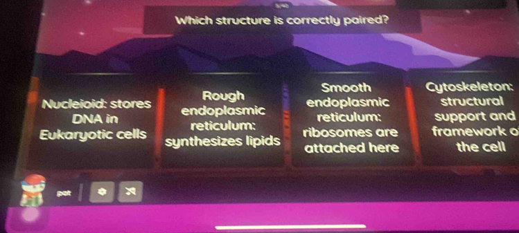 Which structure is correctly paired?
Smooth Cytoskeleton:
Rough endoplasmic structural
Nucleioid: stores endoplasmic reticulum: support and
DNA in reticulum:
Eukaryotic cells synthesizes lipids ribosomes are framework o
attached here the cell