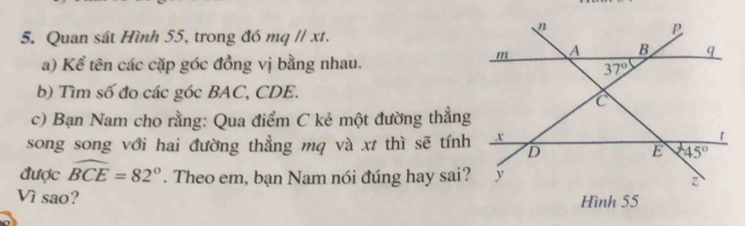 Quan sát Hình 55, trong đó mq // xt.
a) Kể tên các cặp góc đồng vị bằng nhau.
b) Tìm số đo các góc BAC, CDE.
c) Bạn Nam cho rằng: Qua điểm C kẻ một đường thẳng
song song với hai đường thẳng mq và xt thì sẽ tính
được widehat BCE=82°. Theo em, bạn Nam nói đúng hay sai?
Vì sao?