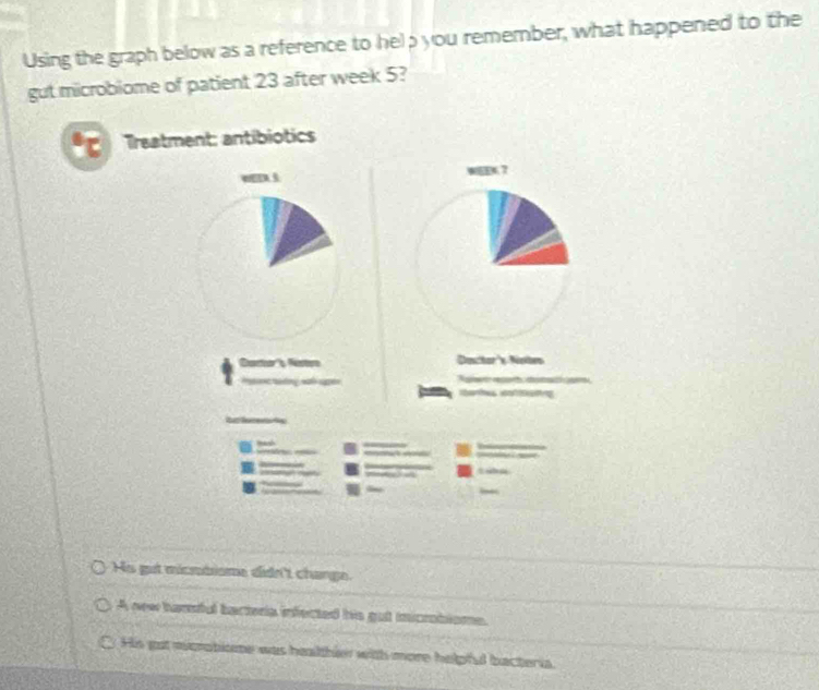 Using the graph below as a reference to help you remember, what happened to the
gut microbiome of patient 23 after week 5?
Treatment: antibiotics
WED S WEEN.7
. 1
Destor's Notrs
Hs gut micmdisme didn't change.
A new hamful bacteria infected his gut inicrobioms.
His gut mcrotiome was healthen with more helpful bacteria.