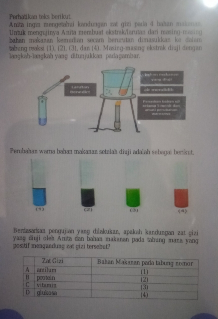 Perhatikan teks berikut.
Anita ingin mengetahui kandungan zat gizi pada 4 bahan makanan
Untuk mengujinya Anita membuat ekstrak/larutan dari masing-masing
bahan makanan kemudian secara berurutan dimasukkan ke daiam 
tabung reaksi (1), (2), (3), dan (4). Masing-masing ekstrak diuji dengan
langkah-langkah yang ditunjukkan padagambar.
Perubahan warna bahan makanan setelah diuji adalah sebagai berikut.
(1) (2) (3) (4)
Berdasarkan pengujian yang dilakukan, apakah kandungan zat gizi
yang diuji oleh Anita dan bahan makanan pada tabung mana yang
positif mengandung zat gizi tersebut?