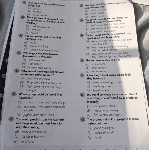 Protrusions in Paragraph 2 means Warthogs are different from domestic
things that:
(a) jut out.
b protect
(a) live in burraws. pigs because they:
(c) are products.
(b) have piglets
(c) aren't hairy.
2 The main idea of Paragraph 2 is φ You could conclude that warthogs use
warthogs: to provide an explanation of what oardvark burrows because they:
(a) use for defence.
(a) can't make any for themselves.
(b) look like.
(b) don't want to make their own.
(c) weigh.
(c) are really poor diggers.
10. The text could best be summarised as a
3. It is an opinion, not a fact, that report about warthogs telling:
warthogs are:
(a) ugly.
(a) what they eat, where they eat and
how they ear.
(b) found in Africa.
(b) what they look like, where they
(c)  related to domestic pigs.
live and what they do.
4. Warthogs enter their burrow (c) about their predators and how 
backwards so they can:
(a)  get away fast. 11. The text was written to give: they fight and protect themselves.
(b) see better. (a instructions.
(c) protect their young.
5. Why would warthogs feel the cold (b) information. (c) an opinion.
6. more than some animals? 12. A warthog's front knees would look
(a) They live in Africa. dirty because it;
(b) They don't have a hairy coat. (a)  loves wallowing in mud.
(c) Their burrows are not deep (b) has hairy knees.
enough. (c) kneels to eat.
6.    
Which group could be found in a 13. You could conclude from the text that if
‘sounder’? a warthog is confronted by a predator,
(a) a boar, a sow and some piglets it usually
(b) two sows, two boars and some (a) can protect itself.
piglets (b) needs to run away.
(c) piglets and three sows (c) has to stay and fight.
7. You could predict from the text that 14. The pronoun it in Paragraph 6 is used
warthogs would þe most likely to instead of their:
keep their young: (a) poor eyesight.
(a) near a waterhole. (b) sense of smell.
(b) inside a burrow.
(c) in a forest. (c) food.