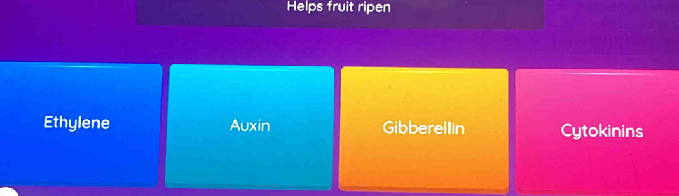 Helps fruit ripen
Ethylene Auxin Gibberellin Cytokinins