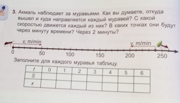 Акмаль наблюодает за муравьями. Как вы думаете, откуда 
выешел и куда налравляется каждый муравей? Скакой 
скоростью движкется каждый из них? В каких точках они будут 
через минуту времени? Через 2 минуты? 
олните для каждого муравь