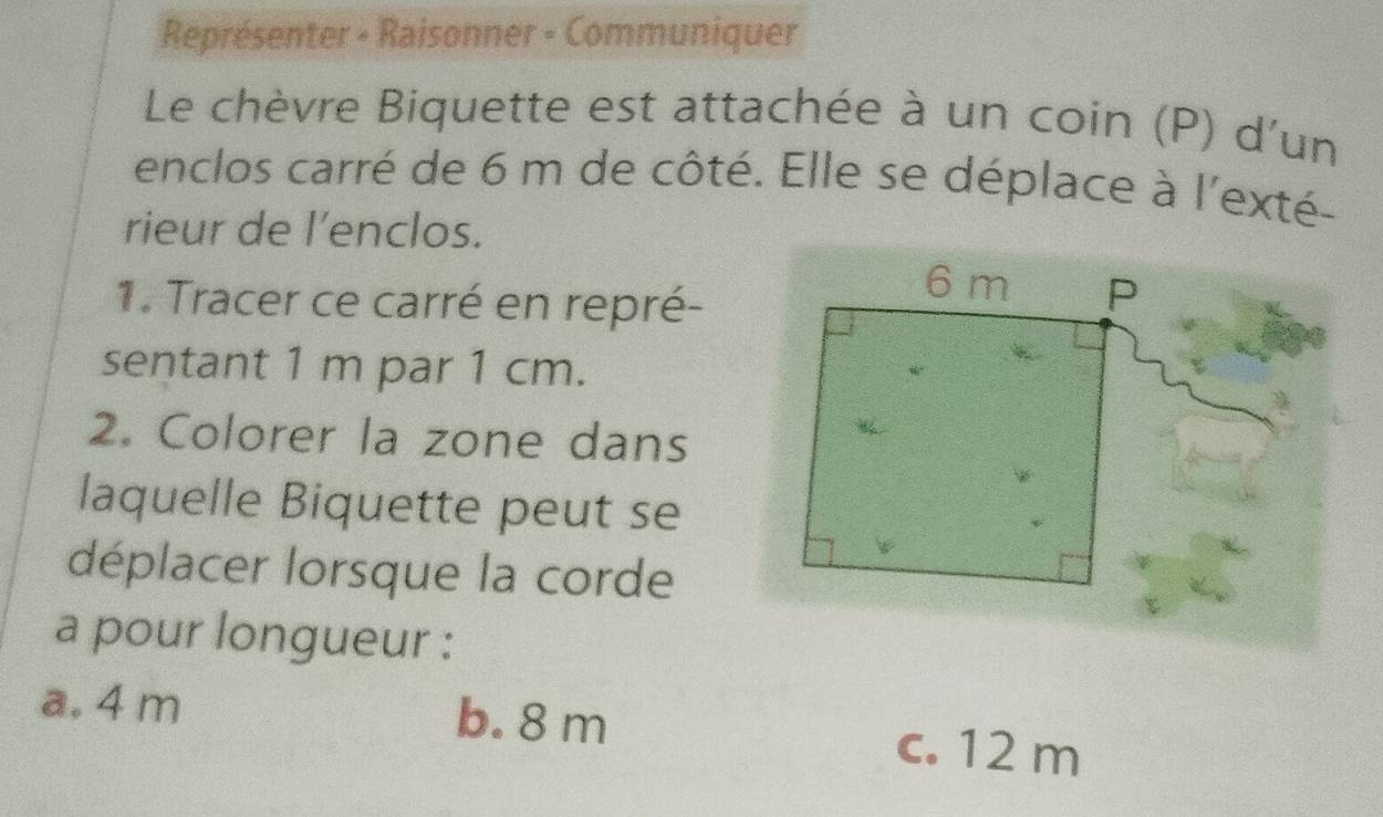 Représenter - Raisonner - Communiquer
Le chèvre Biquette est attachée à un coin (P) d'un
enclos carré de 6 m de côté. Elle se déplace à l'exté-
rieur de l’enclos.
1. Tracer ce carré en repré-
sentant 1 m par 1 cm.
2. Colorer la zone dans
laquelle Biquette peut se
déplacer lorsque la corde
a pour longueur :
a. 4 m b. 8 m c. 12 m