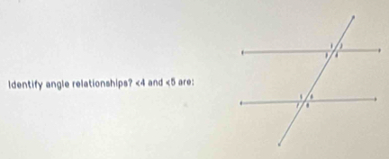 ldentify angle relationships? <4</tex> and <5</tex> are: