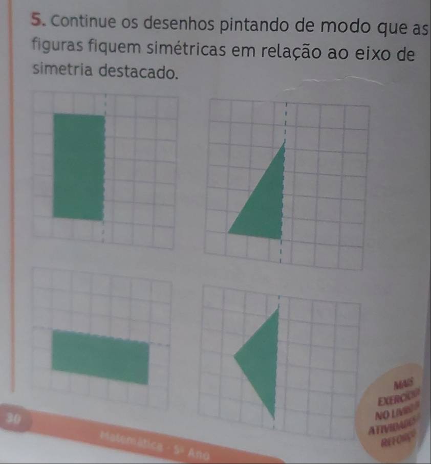 Continue os desenhos pintando de modo que as 
figuras fiquem simétricas em relação ao eixo de 
simetria destacado. 
MAS 
EXERCIOI 
NO LIVROP 
ATIVIDADES 
30 Matemática · S= Ano 
REFOR"