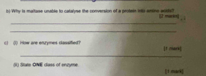 Why is maltase unable to catalyse the conversion of a protein into amino acids? 
[2 marks] 
_ 
_ 
c) (i) How are enzymes classified? 
[1 mark] 
_ 
(ii) State ONE class of enzyme. 
[1 mark]