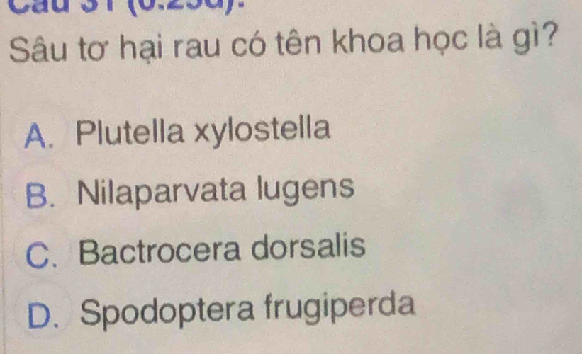 was
Sâu tơ hại rau có tên khoa học là gì?
A. Plutella xylostella
B. Nilaparvata lugens
C. Bactrocera dorsalis
D. Spodoptera frugiperda