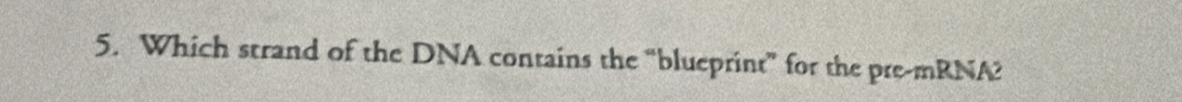 Which strand of the DNA contains the “blueprint” for the pre-mRNA?