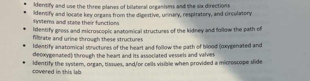 Solved: Identify and use the three planes of bilateral organisms and ...