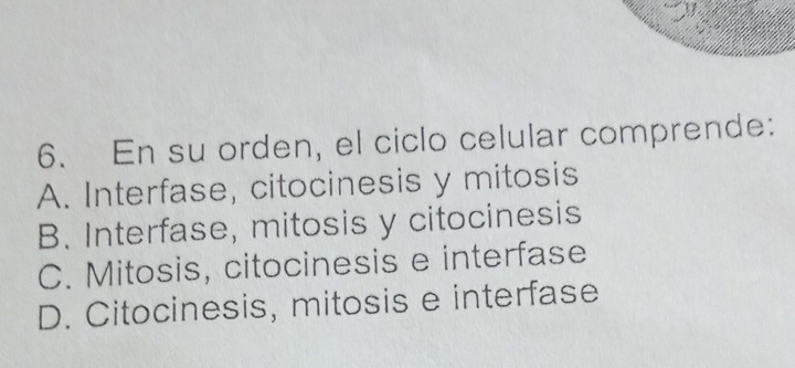 En su orden, el ciclo celular comprende:
A. Interfase, citocinesis y mitosis
B. Interfase, mitosis y citocinesis
C. Mitosis, citocinesis e interfase
D. Citocinesis, mitosis e interfase