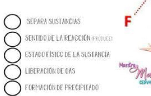 SEPARA SUSTANCIAS F
SENTIDO DE LA REACCIÓN IPRODUCET
ESTADO FÍSICO DE LA SUSTANCIA
Maesira
LIBERACIÓN DE GAS
FORMACIÓN DE PRECIPITADO CERVA