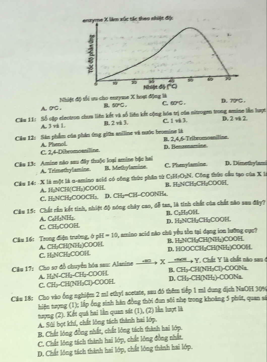enzyme : X làm xúc tác theo nhiệt độc
10 20 39 40 50 70
Nhiệt độ (°C)
Nhiệt độ tối un cho enzyme X hoạt động là
A 0℃.
B. 50°C. C. 60°C. D. 70°C.
Câu 11: Số cặp electron chưa liên kết và số liên kết cộng hóa trị của nitrogen trong amine lần hượt
A. 3 và 1 B. 2 và 3. C. 1 và 3.
D. 2 và 2.
Câu 12: Sân phẩm của phản ứng giữa aniline và nước bromine là
A. Phenol B. 2,4,6-Tribromoaniline.
C. 2,4-Dibromoaniline. D. Benzenamine.
Câu 13: Amine nào sau đây thuộc loại amine bậc hai
A. Trimethylamine. B. Methylamine. C. Phenylamine. D. Dimethylami
Câu 14: -X là một là α-amino acid có công thức phân từ C_3H_7O_2N * Công thức cầu tạo của X li
B. H
A. H₂NCH(CH₃)COOH. ₂NCH₂CH₂COOH,
C. H₂NCH₂COO0 H_3 D. CH₂=CH-COONH₄
Câu 15: Chất rấn kết tinh, nhiệt độ nóng chảy cao, đễ tan, là tính chất của chất nào sau đây?
B. C_2H_5OH.
A. C₆H5NH2
C. CH₃COOH. D. H_2 NCI° CH₂COOH
Câu 16: Trong điện trường, ở pì H=10 ), amino acid nào chủ yếu tồn tại dạng ion lưỡng cục?
A. CH₃CH(NH₂)COOH. B. H₂NCH₂CH(NH₂)COOH
C. H₂NCH₂COOH. D. HOOCCH₂CH(NH₂)COOH.
Câu 17: Cho sơ đồ chuyển hóa sau: Alanine  + BCl * X  to   Y. Chất Y là chất nào sau ở
B. CH₃-CH(NH₃Cl)-COONa.
A. HN CH_2-CH_2-COOH
C. CH₃-CH(NH₃Cl)-COOH. D. CH₃-CH(NH₂)-COONa.
Câu 18: Cho vào ống nghiệm 2 ml ethyl acetate, sau đó thêm tiếp 1 ml dung dịch NaOH 30%
hiện tượng (1); lấp ống sinh hàn đồng thời đun sôi nhẹ trong khoảng 5 phút, quan sã
tượng (2). Kết quả hai lần quan sát (1), (2) lần lượt là
A. Sủi bọt khí, chất lỏng tách thành hai lớp.
B. Chất lỏng đồng nhất, chất lỏng tách thành hai lớp.
C. Chất lông tách thành hai lớp, chất lỏng đồng nhất.
D. Chất lông tách thành hai lớp, chất lông thành hai lớp.