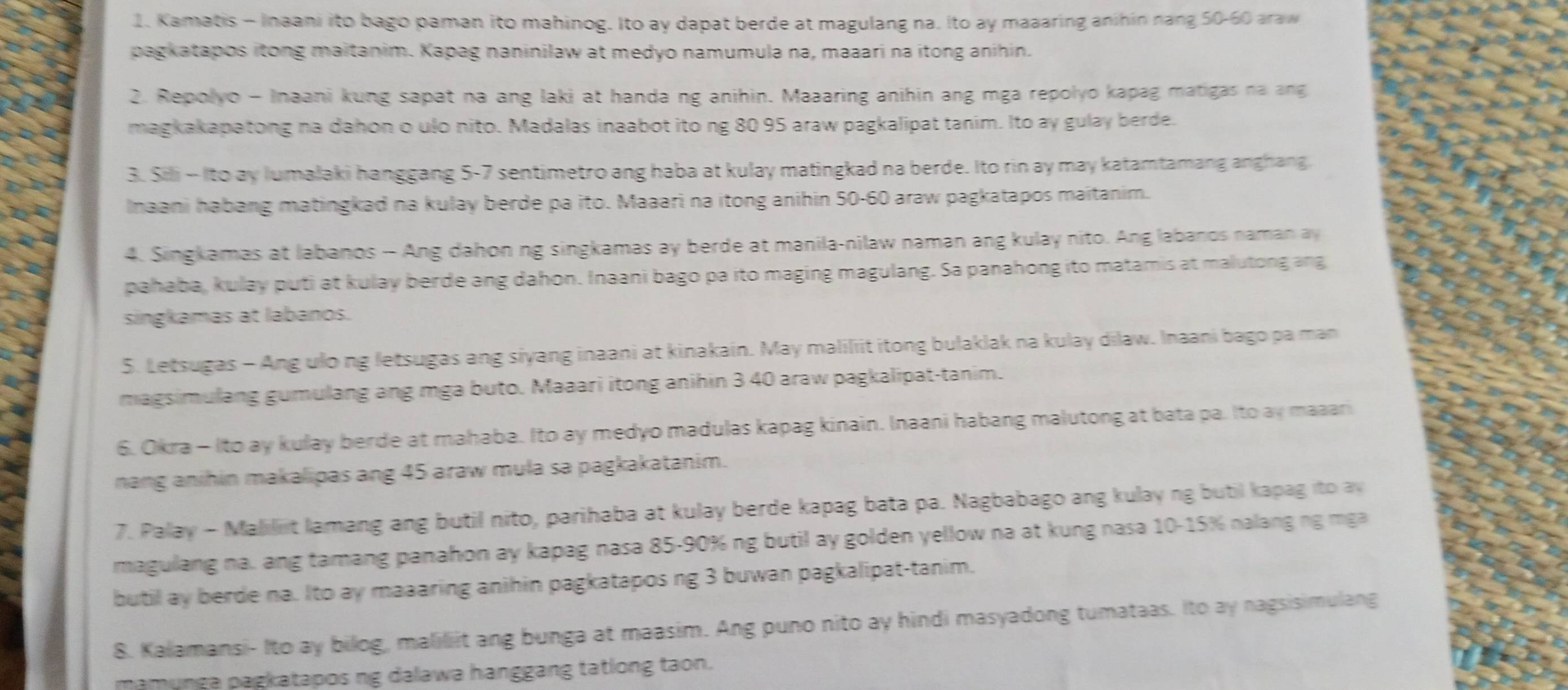 Kamatis - Inaani ito bago paman ito mahinog. Ito ay dapat berde at magulang na. Ito ay maaaring anihin nang 50-60 araw
pagkatapos itong maitanim. Kapag naninilaw at medyo namumula na, maaari na itong anihin.
2. Repolyo - Inaani kung sapat na ang laki at handa ng anihin. Maaaring anihin ang mga repolyo kapag matigas na ang
magkakapatong na dahon o ulo nito. Madalas inaabot ito ng 80 95 araw pagkalipat tanim. Ito ay gulay berde.
3. Sili - Ito ay lumalaki hanggang 5-7 sentimetro ang haba at kulay matingkad na berde. Ito rin ay may katamtamang anghang.
Inaani habang matingkad na kulay berde pa ito. Maaari na itong anihin 50-60 araw pagkatapos maitanim.
4. Singkamas at labanos - Ang dahon ng singkamas ay berde at manila-nilaw naman ang kulay nito. Ang labanos naman ay
pahaba, kulay puti at kulay berde ang dahon. Inaani bago pa ito maging magulang. Sa panahong ito matamis at malutong ang
singkamas at labanos.
5. Letsugas - Ang ulo ng letsugas ang siyang inaani at kinakain. May maliliit itong bulaklak na kulay dilaw. Inaani bago pa man
magsimulang gumulang ang mga buto. Maaari itong anihin 3 40 araw pagkalipat-tanim.
6. Okra - Ito ay kulay berde at mahaba. Ito ay medyo madulas kapag kinain. Inaani habang malutong at bata pa. Ito ay maaari
nang anihin makalipas ang 45 araw mula sa pagkakatanim.
7. Palay - Maliliit lamang ang butil nito, parihaba at kulay berde kapag bata pa. Nagbabago ang kulay ng butil kapag ito ay
magulang na. ang tamang panahon ay kapag nasa 85-90% ng butil ay golden yellow na at kung nasa 10-15% nalang ng mga
butil ay berde na. Ito ay maaaring anihin pagkatapos ng 3 buwan pagkalipat-tanim.
8. Kalamansi- Ito ay bilog, maliliit ang bunga at maasim. Ang puno nito ay hindi masyadong tumataas. Ito ay nagsisimulang
mamunga pagkatapos ng dalawa hanggang tatlong taon.