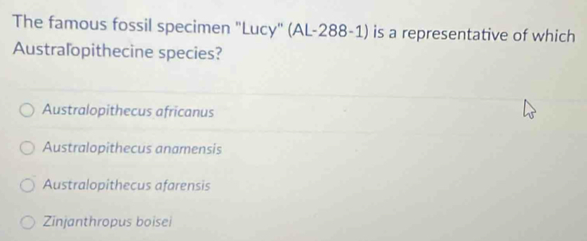 The famous fossil specimen "Lucy" (AL-288-1) is a representative of which
Austraľopithecine species?
Australopithecus africanus
Australopithecus anamensis
Australopithecus afarensis
Zinjanthropus boisei