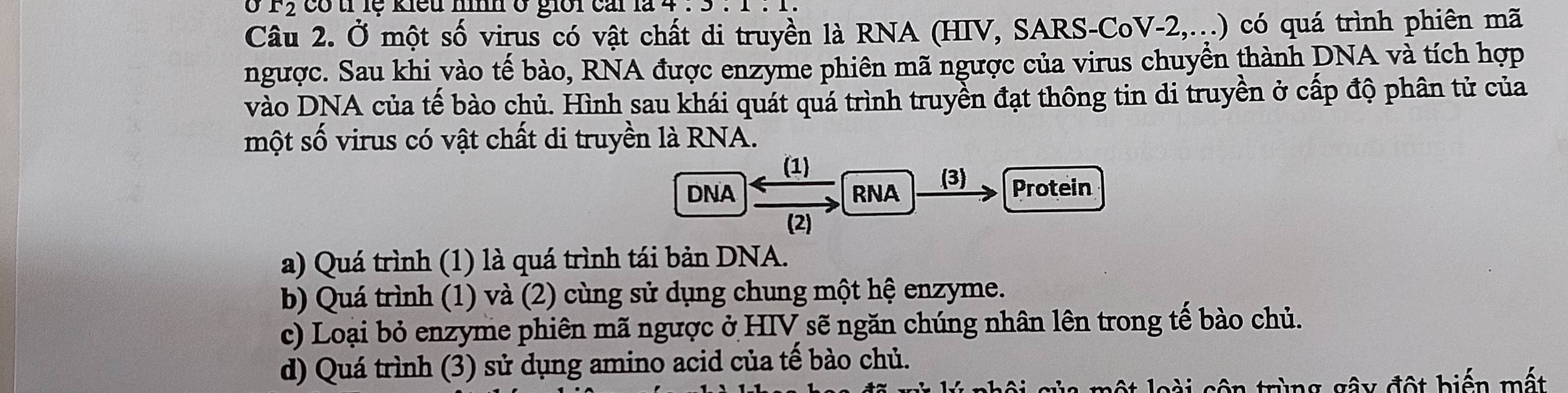 r_2 có tỉ lệ kiểu nì ở giới cai là 4 . 3.
Câu 2. Ở một số virus có vật chất di truyền là RNA (HIV, SARS-CoV-2,...) có quá trình phiên mã
ngược. Sau khi vào tế bào, RNA được enzyme phiên mã ngược của virus chuyển thành DNA và tích hợp
vào DNA của tế bào chủ. Hình sau khái quát quá trình truyền đạt thông tin di truyền ở cấp độ phân tử của
một số virus có vật chất di truyền là RNA.
(1)
DNA RNA (3)
Protein
(2)
a) Quá trình (1) là quá trình tái bản DNA.
b) Quá trình (1) và (2) cùng sử dụng chung một hệ enzyme.
c) Loại bỏ enzyme phiên mã ngược ở HIV sẽ ngăn chúng nhân lên trong tế bào chủ.
d) Quá trình (3) sử dụng amino acid của tế bào chủ.
một loài côn trùng gây đột biến mất