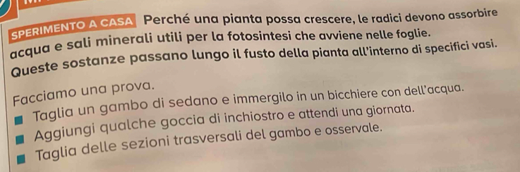 SPERIMENTO A CASA Perché una pianta possa crescere, le radici devono assorbire 
acqua e sali minerali utili per la fotosintesi che avviene nelle foglie. 
Queste sostanze passano lungo il fusto della pianta all’interno di specifici vasi. 
Facciamo una prova. 
Taglia un gambo di sedano e immergilo in un bicchiere con dell’acqua. 
Aggiungi qualche goccia di inchiostro e attendi una giornata. 
Taglia delle sezioni trasversali del gambo e osservale.