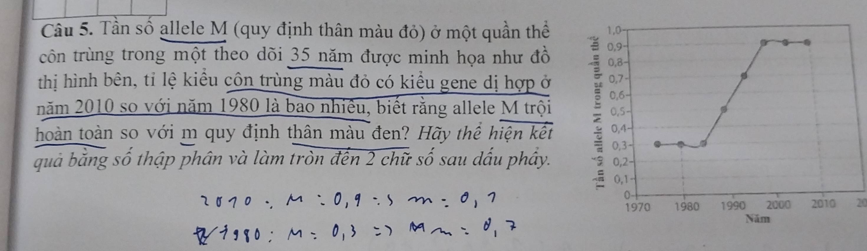 Tần số allele M (quy định thân màu đỏ) ở một quần thể 1,0
0, 9
rôn trùng trong một theo dõi 35 năm được minh họa như đồ 0, 8 - 
thị hình bên, tỉ lệ kiều côn trùng màu đỏ có kiểu gene dị hợp ở
0,7
năm 2010 so với năm 1980 là bao nhiêu, biết rằng allele M trội : 0,6-
0,5 - 
hoàn toàn so với m quy định thân màu đen? Hãy thể hiện kết 0,4-
0,3
quả bằng số thập phân và làm tròn đến 2 chữ số sau dấu phây. 0, 2 -
0, 1
0
1970 1980 1990 2000 2010 20
Năm