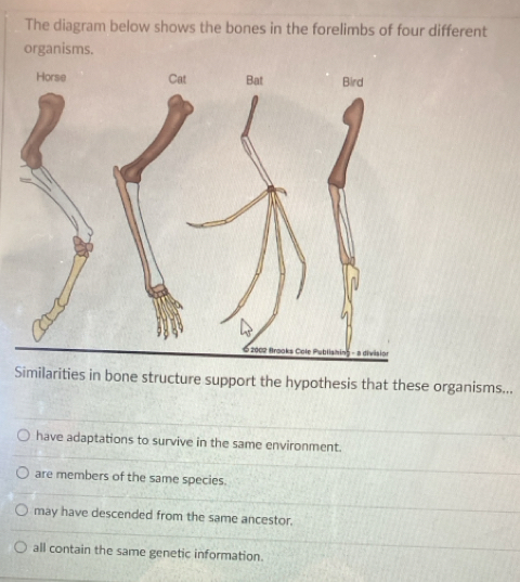 The diagram below shows the bones in the forelimbs of four different
organisms.
Horse
Similarities in bone structure support the hypothesis that these organisms...
have adaptations to survive in the same environment.
are members of the same species.
may have descended from the same ancestor.
all contain the same genetic information.