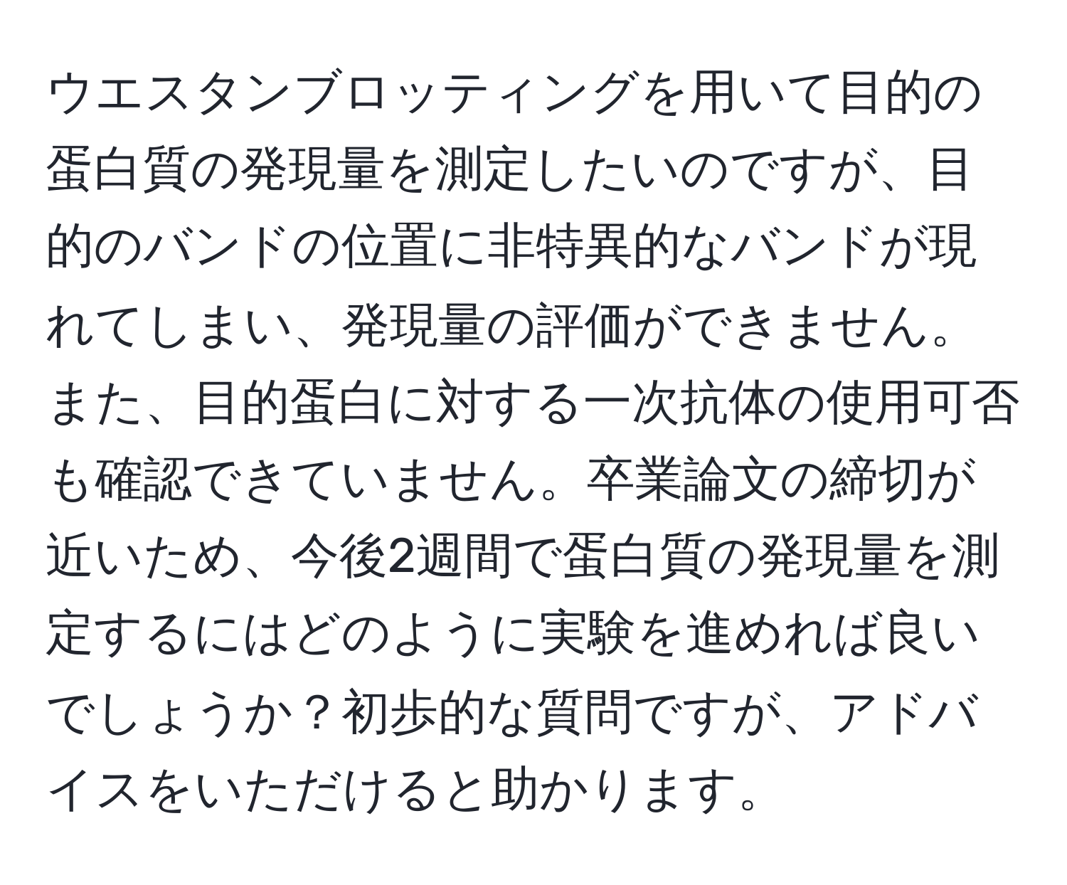 ウエスタンブロッティングを用いて目的の蛋白質の発現量を測定したいのですが、目的のバンドの位置に非特異的なバンドが現れてしまい、発現量の評価ができません。また、目的蛋白に対する一次抗体の使用可否も確認できていません。卒業論文の締切が近いため、今後2週間で蛋白質の発現量を測定するにはどのように実験を進めれば良いでしょうか？初歩的な質問ですが、アドバイスをいただけると助かります。