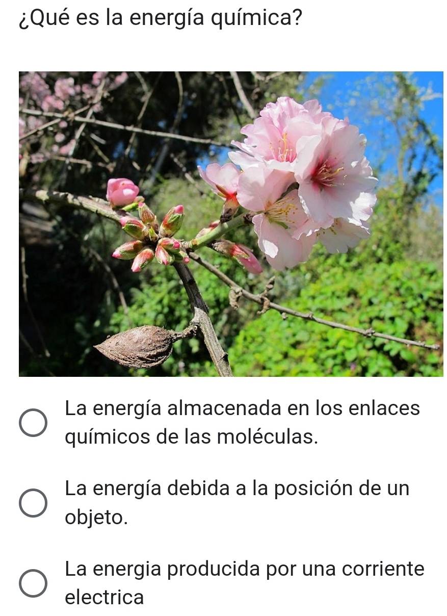 ¿Qué es la energía química?
La energía almacenada en los enlaces
químicos de las moléculas.
La energía debida a la posición de un
objeto.
La energia producida por una corriente
electrica