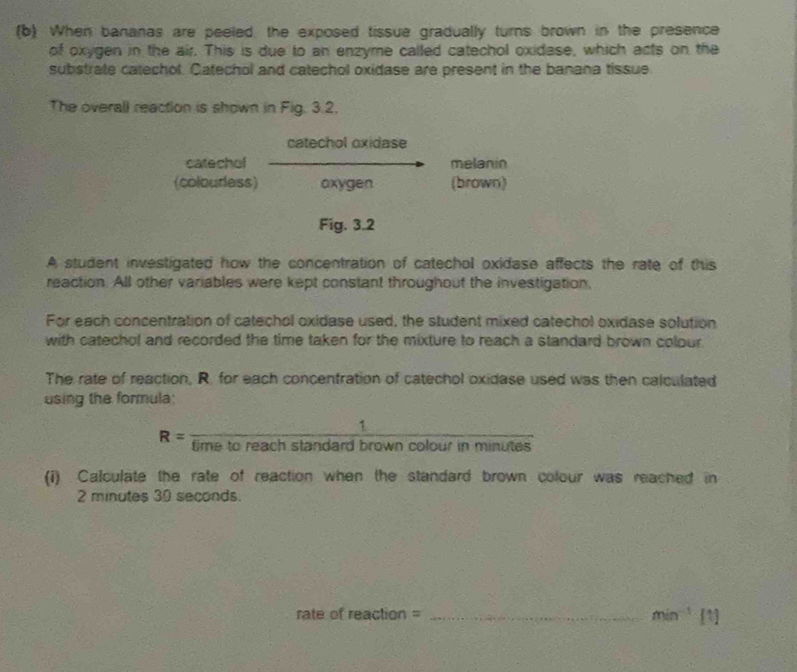 When bananas are peeled, the exposed tissue gradually turns brown in the presence 
of oxygen in the air. This is due to an enzyme called catechol oxidase, which acts on the 
substrate catechol. Catechol and catechol oxidase are present in the banana tissue 
The overall reaction is shown in Fig. 3.2. 
catechol oxidase 
catechof melanin 
(colouress) axygen (brown) 
Fig. 3.2 
A student investigated how the concentration of catechol oxidase affects the rate of this 
reaction. All other variables were kept constant throughout the investigation, 
For each concentration of catechol oxidase used, the student mixed catechol oxidase solution 
with catechol and recorded the time taken for the mixture to reach a standard brown colour. 
The rate of reaction, R. for each concentration of catechol oxidase used was then calculated 
using the formula:
R= 1/timetoreachstan dardb  brown colour in minutes
(i) Calculate the rate of reaction when the standard brown colour was reached in
2 minutes 30 seconds. 
rate of reaction = _ min^(-1) 3