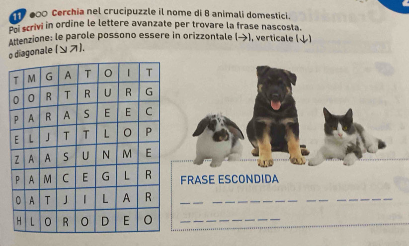 600 Cerchia nel crucipuzzle il nome di 8 animali domestici. 
Poi scrivi in ordine le lettere avanzate per trovare la frase nascosta. 
Attenzione: le parole possono essere in orizzontale (→), verticale ( 
o diagonale (ン ス). 
FRASE ESCONDIDA 
_ 
_ 
_ 
_ 
_