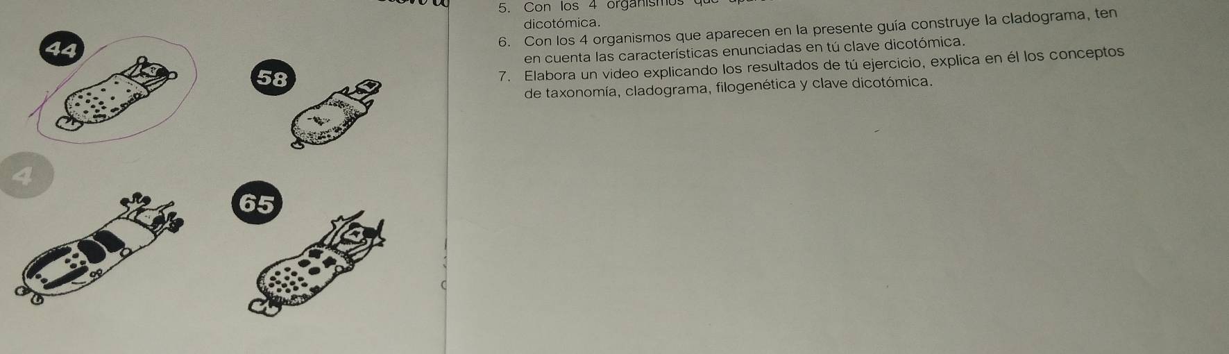 Con los 4 organismos qu 
dicotómica.
44
6. Con los 4 organismos que aparecen en la presente guía construye la cladograma, ten 
en cuenta las características enunciadas en tú clave dicotómica.
58
7. Elabora un video explicando los resultados de tú ejercicio, explica en él los conceptos 
de taxonomía, cladograma, filogenética y clave dicotómica. 
a
65