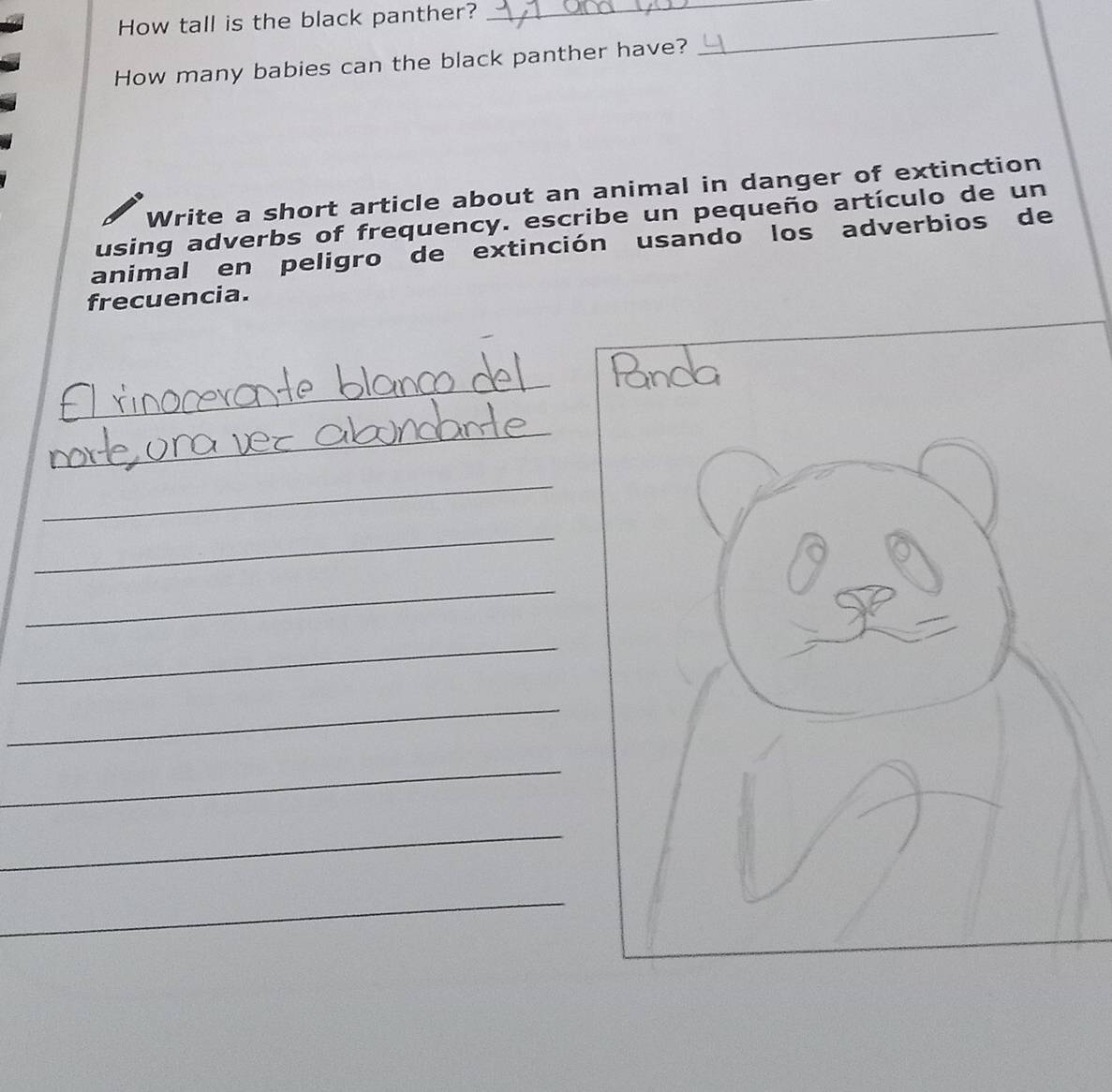 How tall is the black panther?_ 
How many babies can the black panther have? 
_ 
Write a short article about an animal in danger of extinction 
using adverbs of frequency. escribe un pequeño artículo de un 
animal en peligro de extinción usando los adverbios de 
frecuencia. 
_ 
_ 
_ 
_ 
_ 
_ 
_ 
_ 
_ 
_ 
_